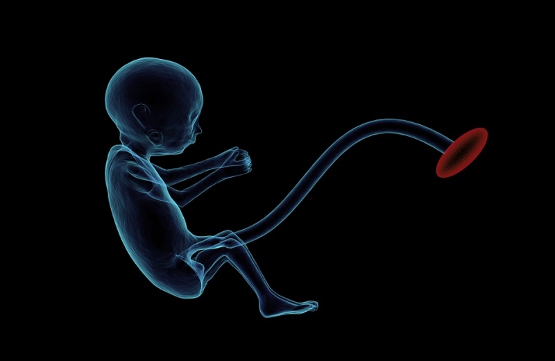 38周胎儿发育情况待产需要做哪些准备